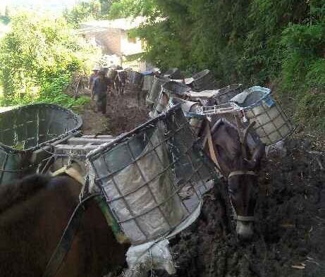 光明区马帮搬运