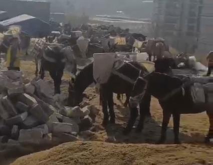 光明区马队山路运输