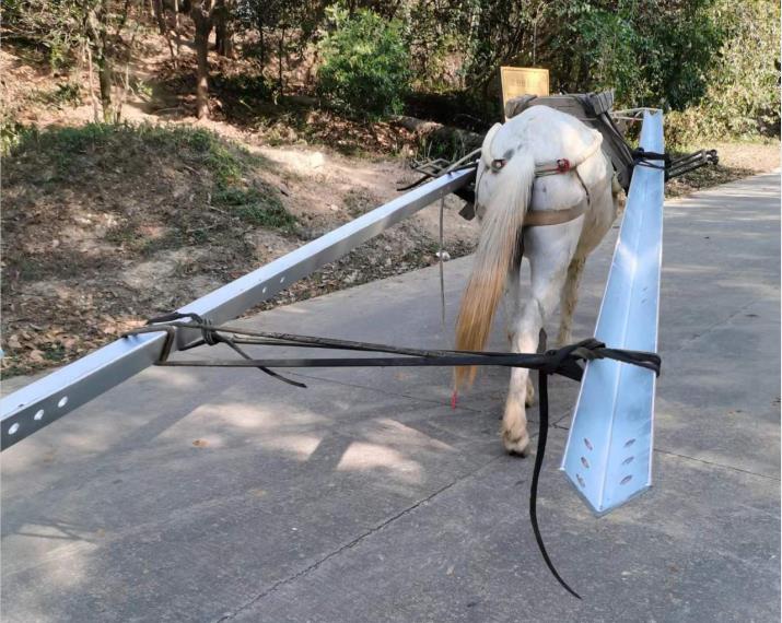 光明区马队搬运