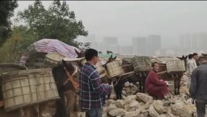 光明区骡马山区运输