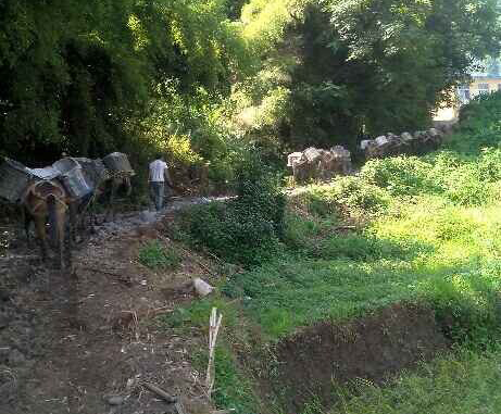 光明区马帮运输队