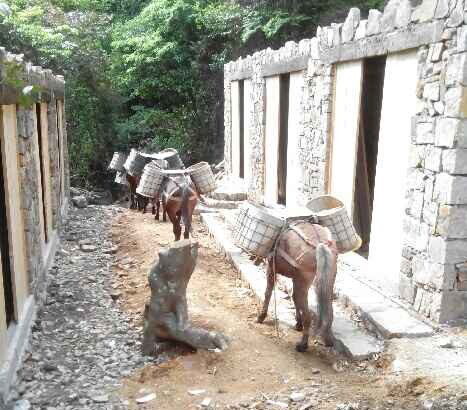 光明区马队运输队