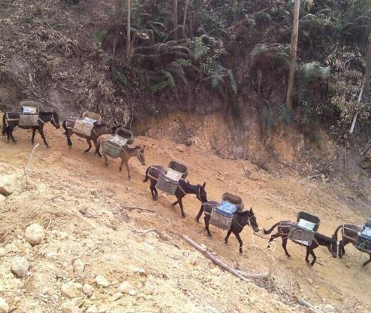 光明区山路马帮运输