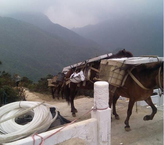 光明区山区马帮运输