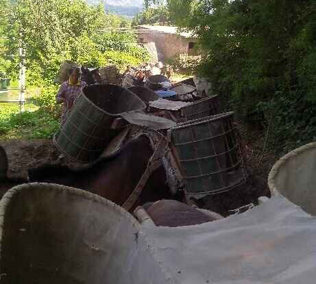 光明区骡马运输